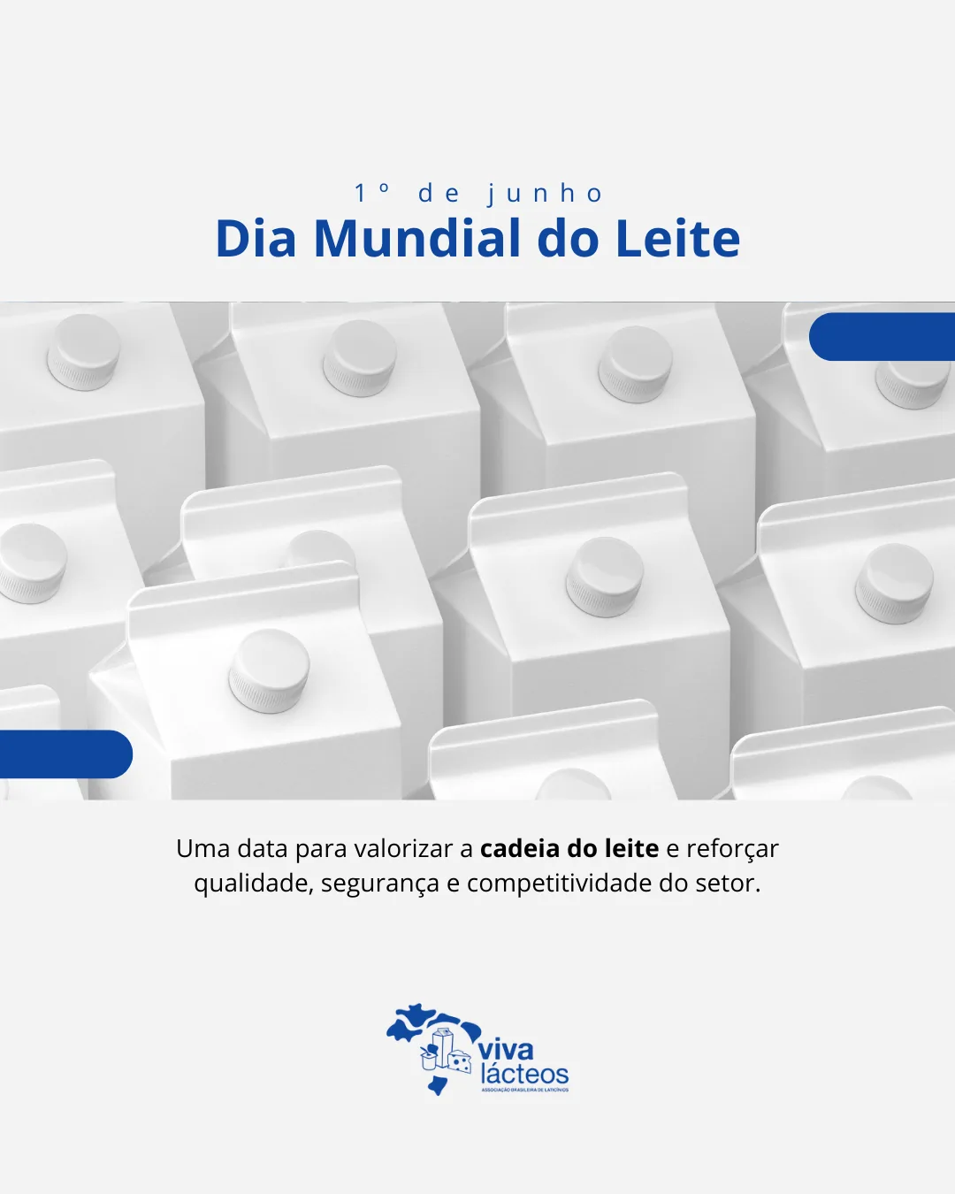 Viva Lácteos conteúdo piloto